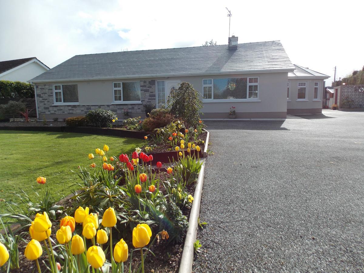 Barrow View Accommodation Mountmellick Екстериор снимка