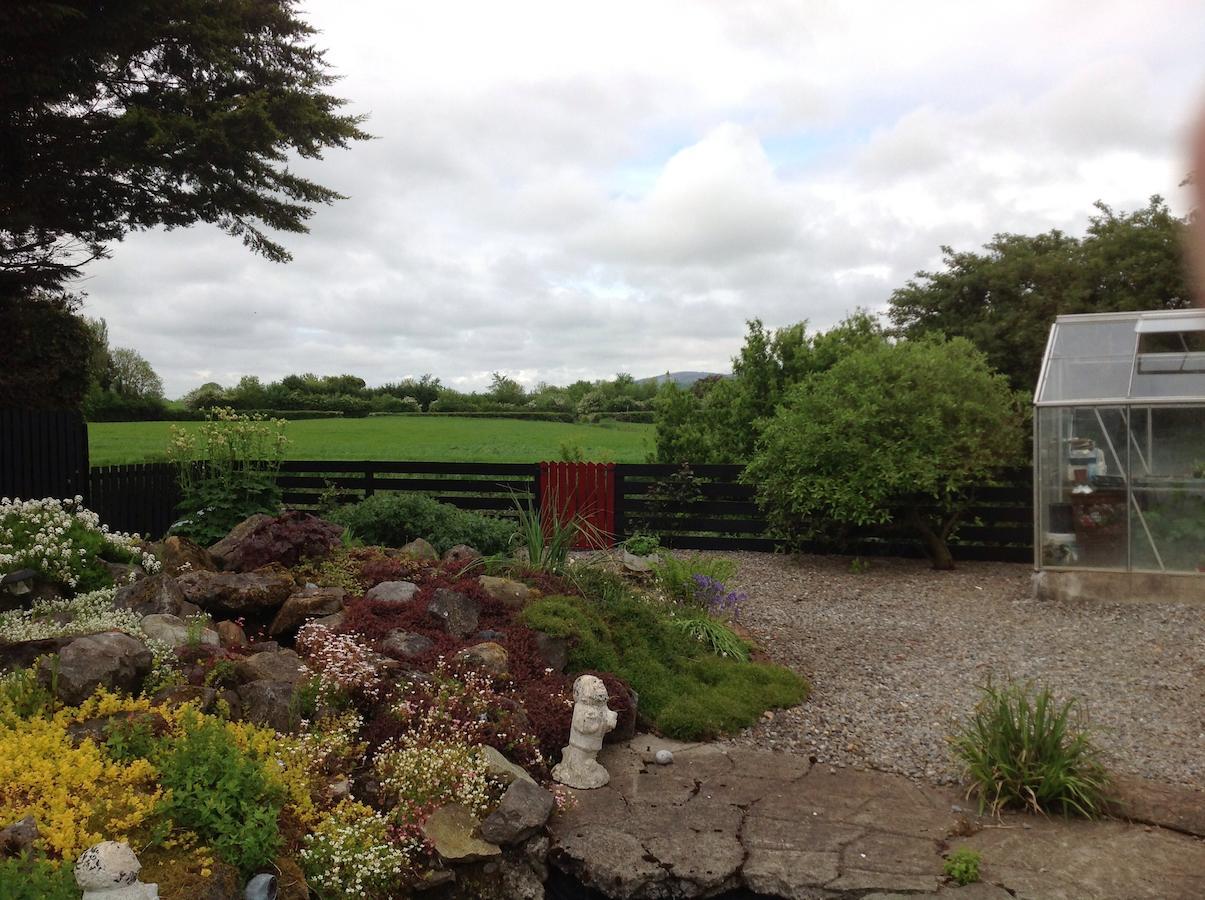 Barrow View Accommodation Mountmellick Екстериор снимка